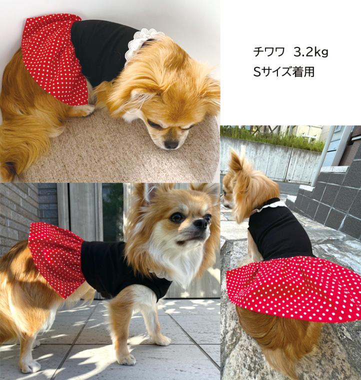【在庫処分セール・さらにクーポン利用可】　犬服　ドッグウェア　dogwear　チェック　ドット　ペット服　猫服　リンクコーデ　スカート付きワンピース　タンクトップ（S.M.L.DS.FB-M）