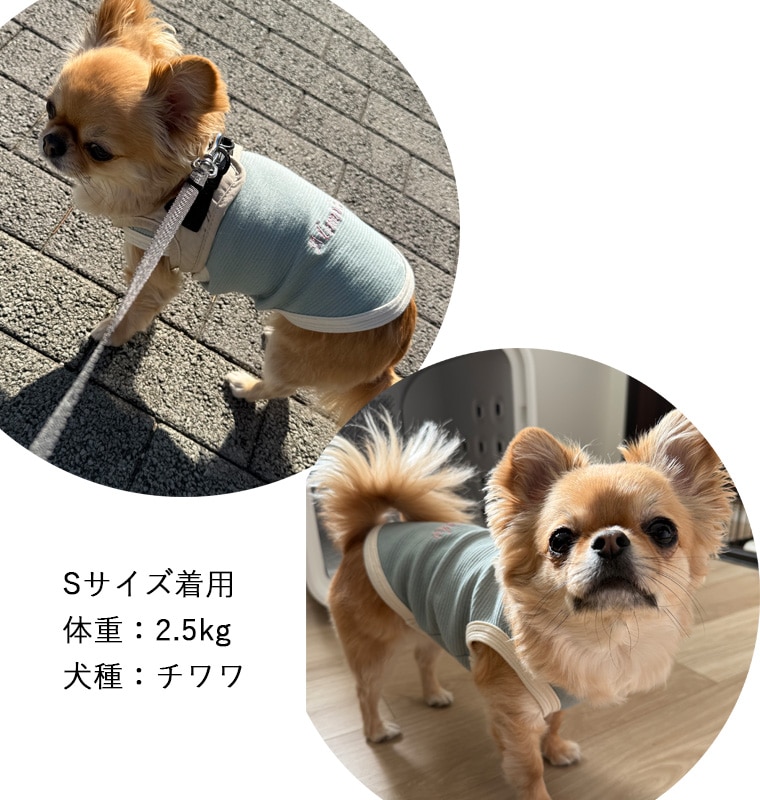 （S.M.L）【名入れ　刺繍対応】シンプルでおしゃれ｜伸縮性抜群！肌に触れる部分は綿100％｜バイカラータンクトップ｜ベビー服・子供服とお揃い｜型崩れしにくい犬服・猫服・ペット服ドッグウェア　dogwear　肌に優しい9714
