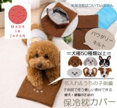 ̾����̵���������������С��å˥åȥ���ȡ��Ҷ����ڥåȤˤ��Ŭ����