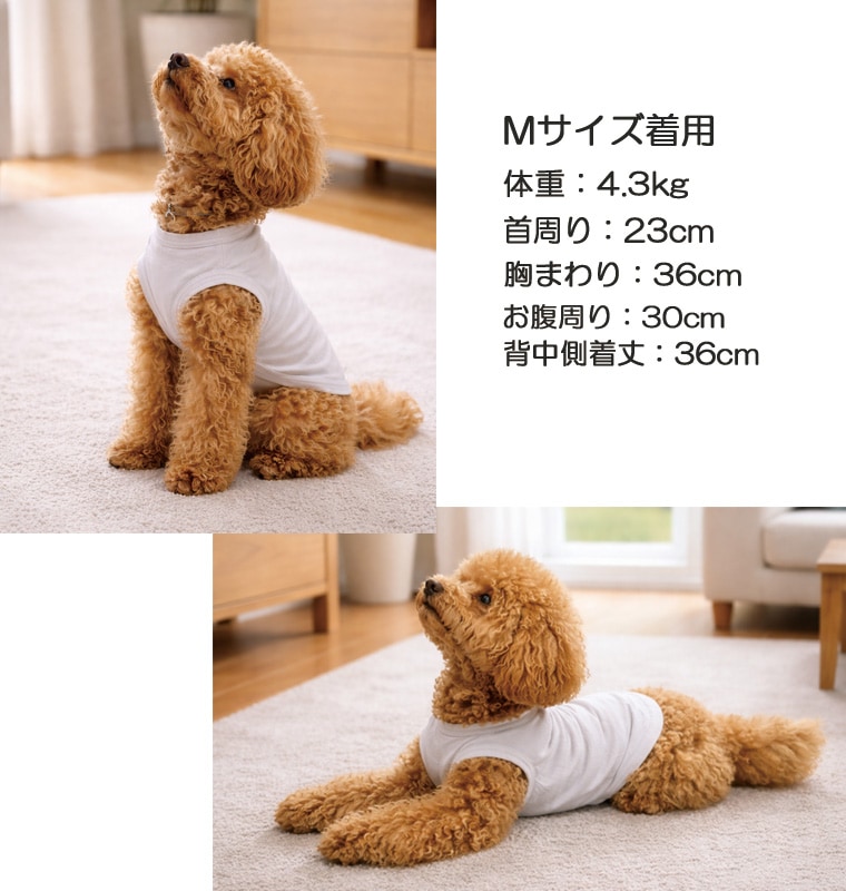 （S.M.L）日本製【犬服】接触冷感タンクトップ クール　綿モダール×無地／UVカット加工でひんやり快適｜チワワ・トイプードル・柴犬などに 7550　小型犬 服 夏服 夏用　伸縮  速乾  蒸れない 　肌に優しいおしゃれ　オシャレ涼しい