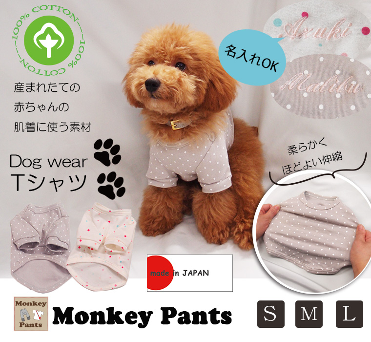 ̾ɽ֤ۡʼΤդȾµT  100ե饤Ǻåȥסɥ롦ƸˤS M L˸ղƽߡ  ʤ  ץ쥼Ȥˤ⡡ȩͥ졡졡Ҵȩ