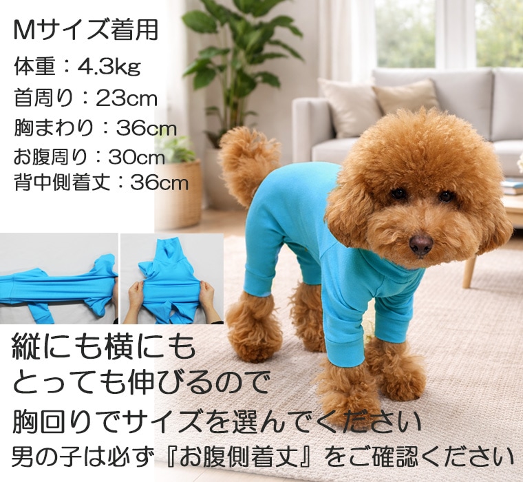 アップリケ＆名入れ刺繍　うちの子　犬服　ドッグウェア　dogwear　伸縮性抜群ロンパース（S.M.L.LL）