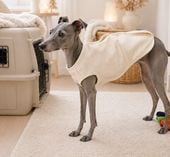 �����ꥢ�󥰥졼�ϥ���ɡ��٥��ȡ��������졡�������ɥå���������dogwear��΢���ӡ��٥��ȡ�IS.IM.IL���������٥ӡ������������100�����ŵ��������ˤ���ȩ��ͥ����������졡������졡�Ҵ�ȩ1219