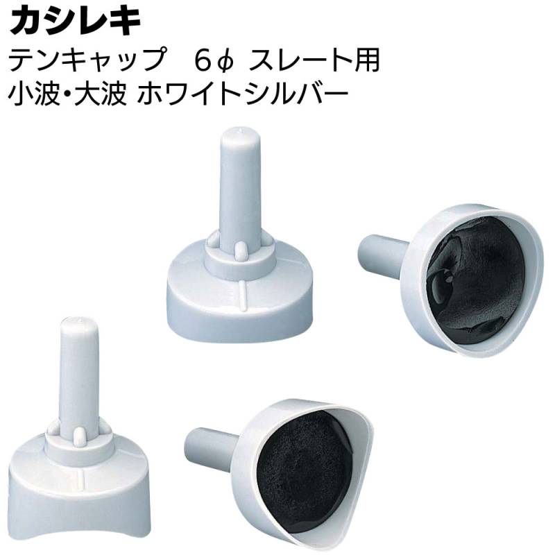 カシレキ テンキャップ スレート用6φ ＜小波 大波 コーティング材入りボルトキャップ ホワイトシルバー＞