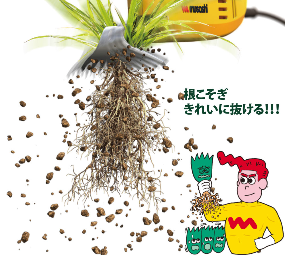追加商品画像