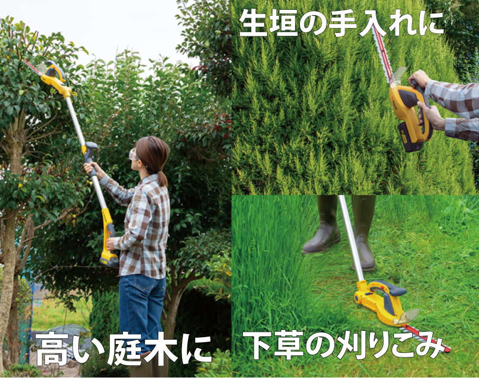 追加商品画像