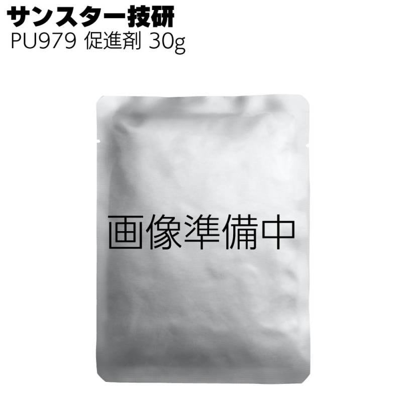サンスター技研 ペンギンシール PU979用促進剤 30g 