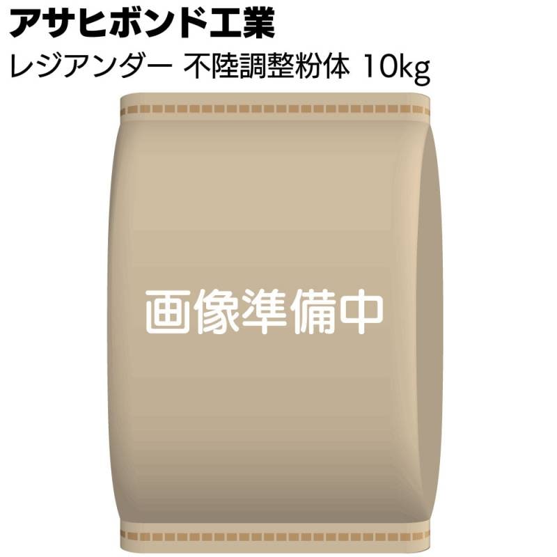 アサヒボンド工業 レジアンダー 不陸調整粉体 10kg ＜コンクリート モルタル不陸調整 欠損補修 下地調整材＞