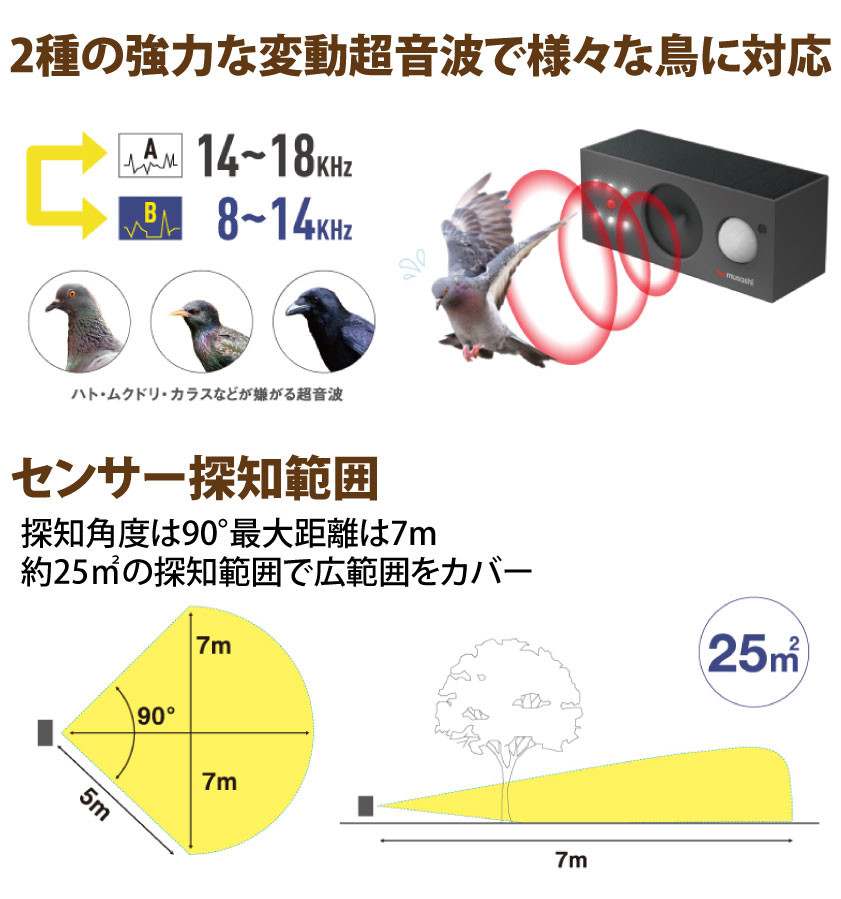 追加商品画像