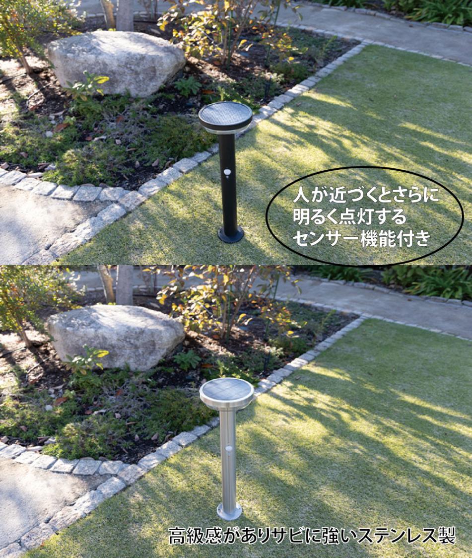 追加商品画像