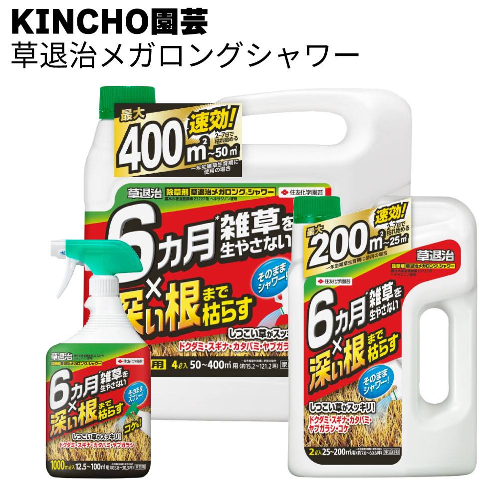 在庫限り＞KINCHO園芸 (旧:住友化学園芸） 殺虫スプレー ベニカV