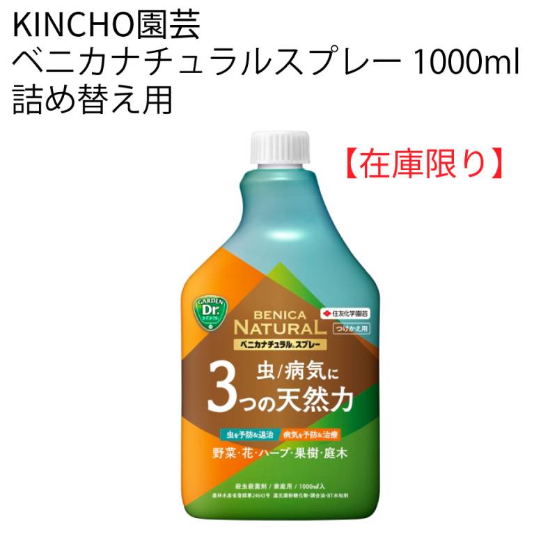 南アメリカのオニカミキリの1種・ペア 0000000101812_6tP0PXl.jpg