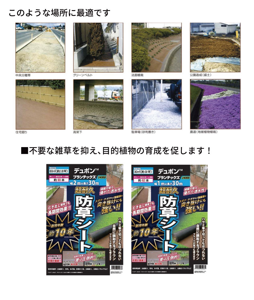 追加商品画像
