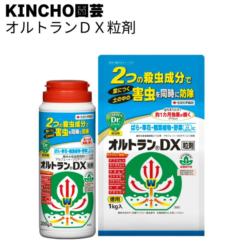 KINCHO園芸 (旧:住友化学園芸) 殺虫剤 オルトランＤＸ粒剤 200g / 1kg＜葉につく害虫・土の中の害虫を同時に防除＞◯