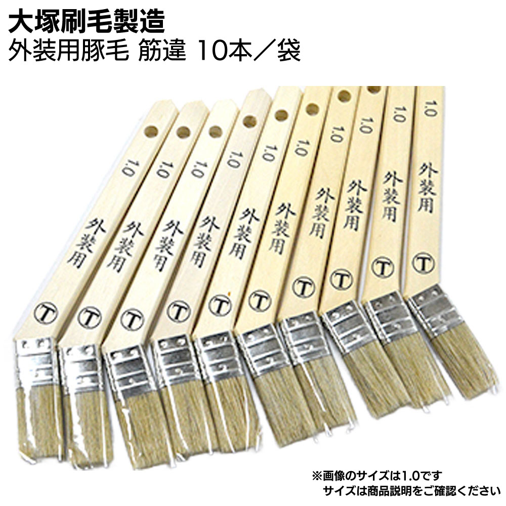大塚刷毛製造 外装用豚毛 筋違 10本／袋 ＜お得用パック＞