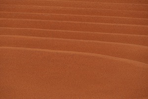 前田工繊産資 ノンロット205N Sカラー 屋外用 ＜高着色タイプ 木材含浸塗料 油性 調湿性 高耐候＞