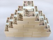 札束 A 1億円 100万円札束 100束セット ダミー 金融機関共通 文字入り TV CM 映画 ユーチューブ ユーチューバー 講演 イベント 景品 一億円 札束風呂 ネタ|D ドッキリ札束|７ オ