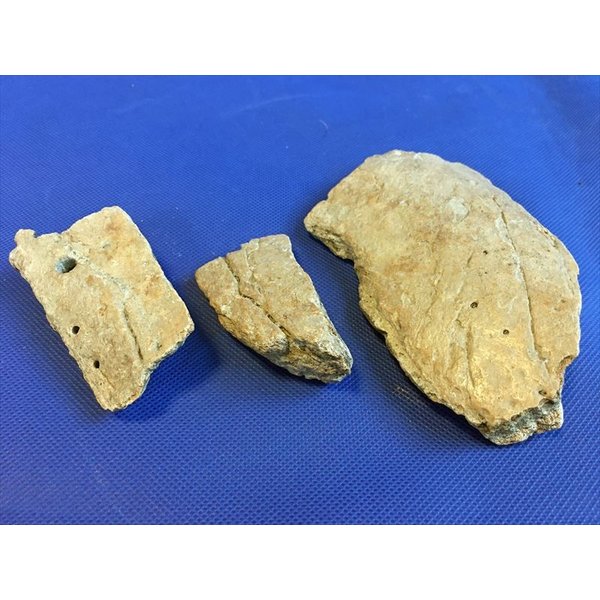 天然素材マンモス 骨製、鹿角？置物 61G4ZLQ3+-L.jpg_BO30,255,255,
