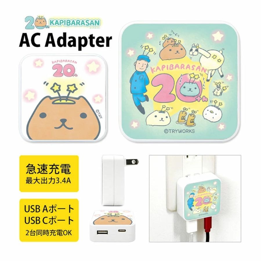 [カピバラさん20周年]USB/USB Type-C AC アダプタ