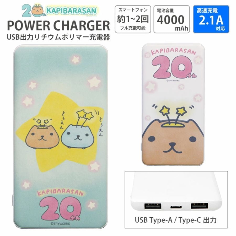 [カピバラさん20周年]USB/USB Type-C 4000mAh リチウムイオンポリマー充電器 2.1A【PSE適合品】