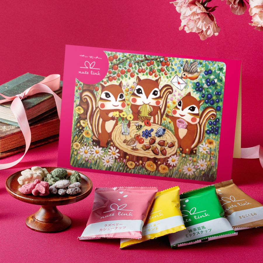 藤岡ちさコラボ ナッツリンク nuts link スイーツ フレーバーナッツ 4種 8袋 詰め合わせ [送料無料] 【通常パッケージ：2月6日以降順次出荷】