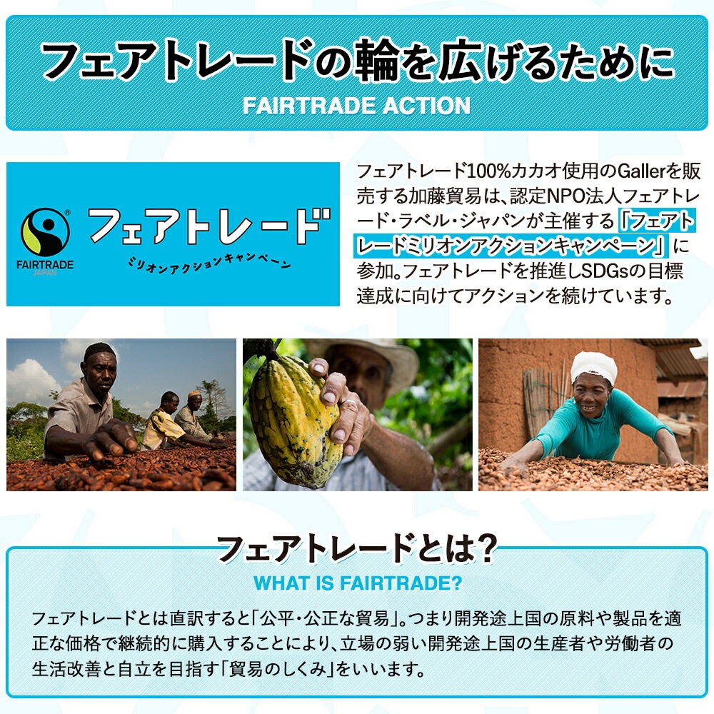 Galler ガレー クッキー 詰め合わせセット 30枚入 [送料込]