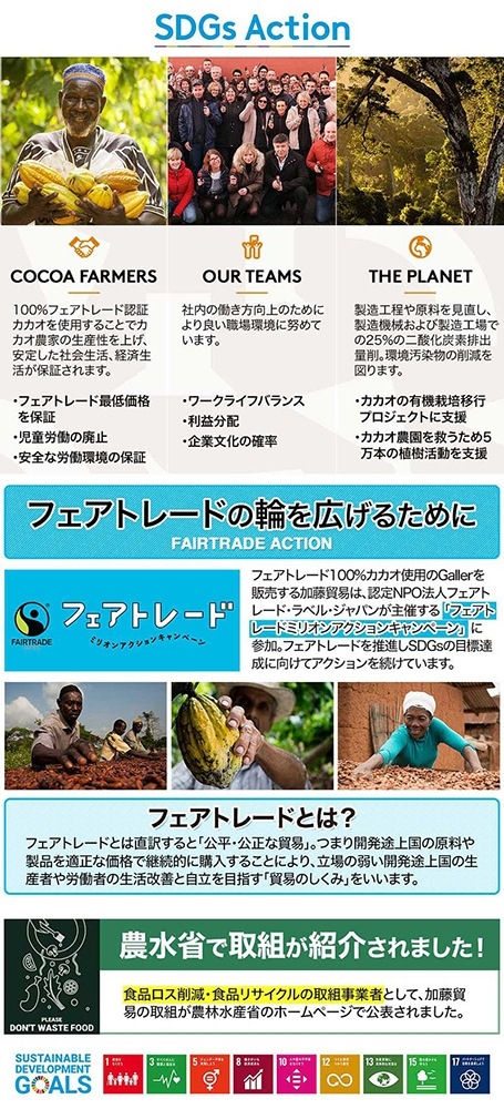 Galler ガレー ミニバー 6本入 ベルギー王室御用達チョコレート