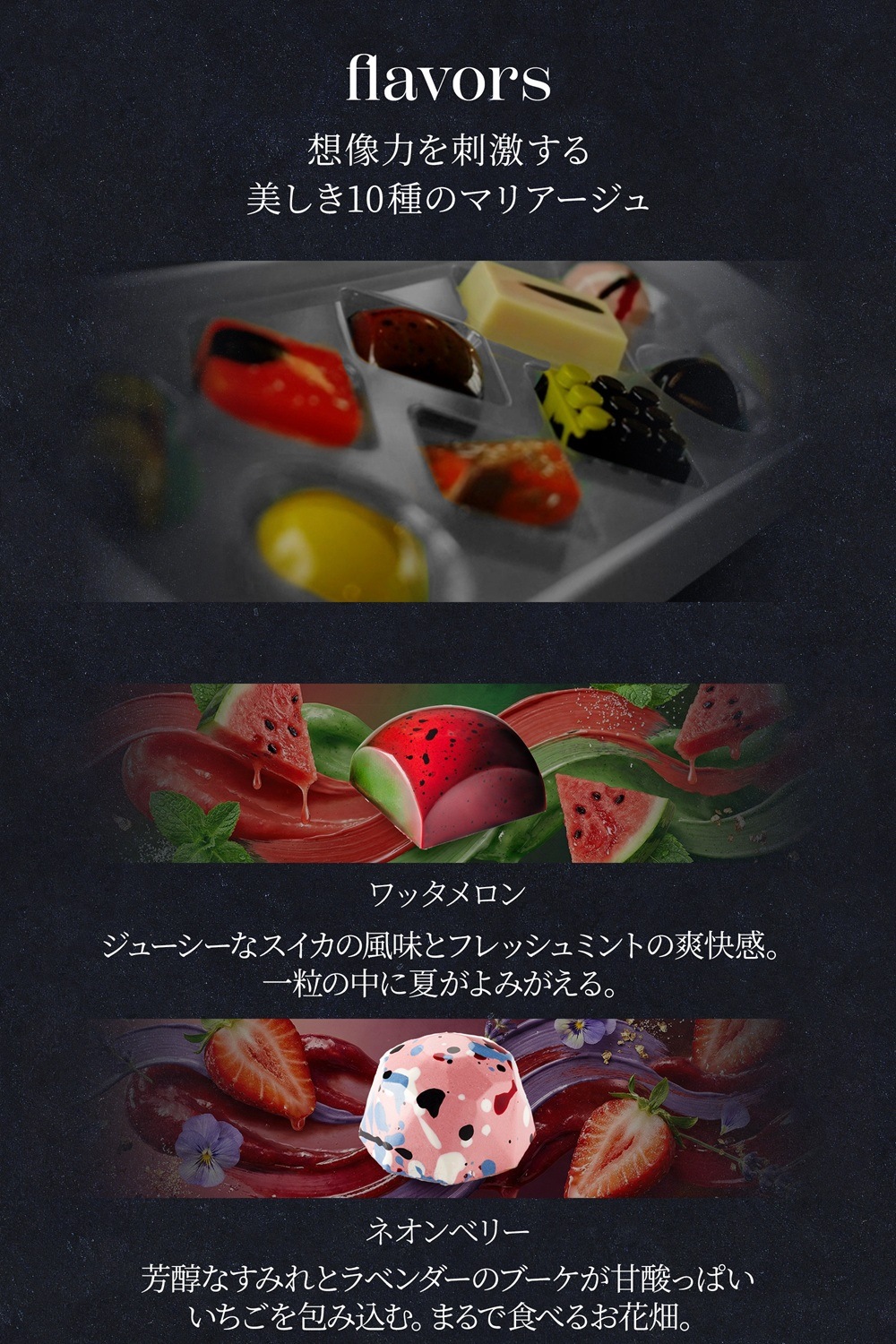 Friandries（フリアンドリース）シグネチャーボンボン 10個入 チョコレート 【2/9以降順次発送予定】