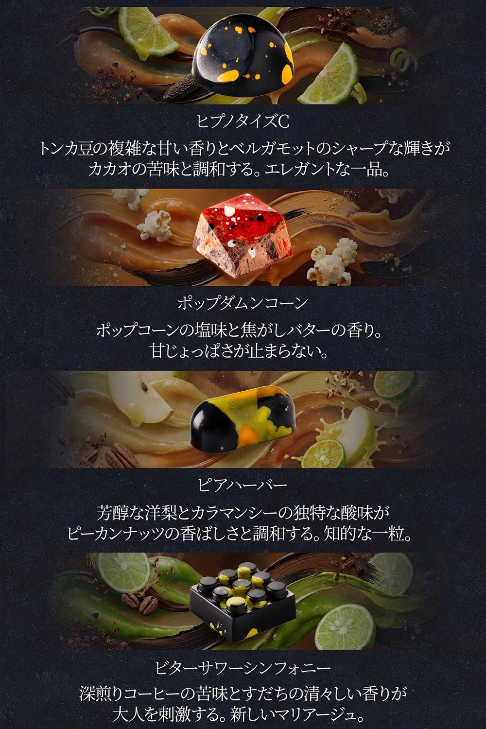 Friandries（フリアンドリース）シグネチャーボンボン 10個入 チョコレート 【2/9以降順次発送予定】