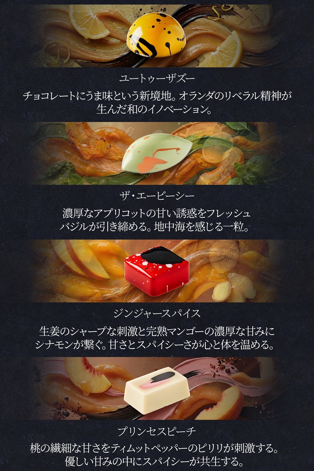 Friandries（フリアンドリース）シグネチャーボンボン 10個入 チョコレート 【2/9以降順次発送予定】