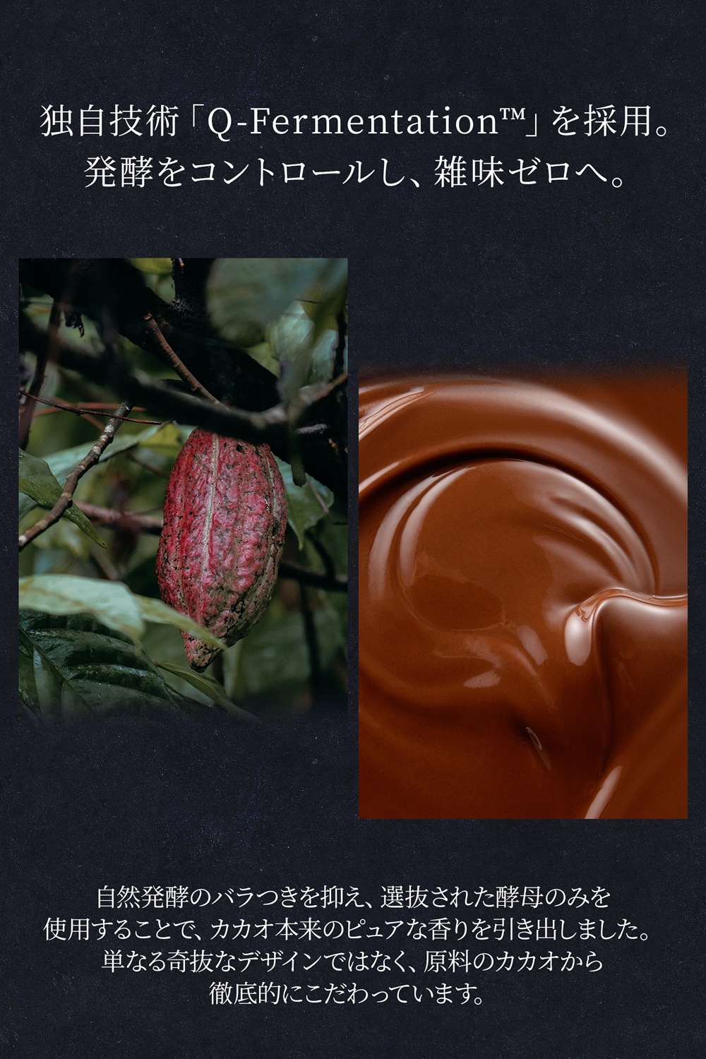 Friandries（フリアンドリース）シグネチャーボンボン 10個入 チョコレート 【2/9以降順次発送予定】