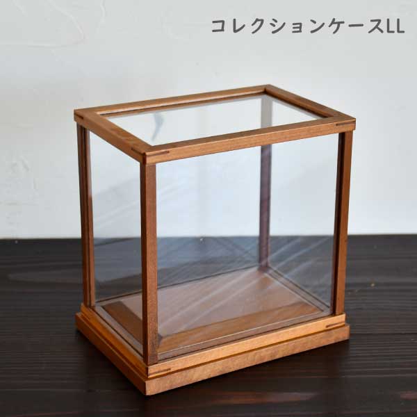 鉱石と宝石のコレクションケース 鉱物蒐集にぴったりな コレクションケース〈小〉｜SeeMONO