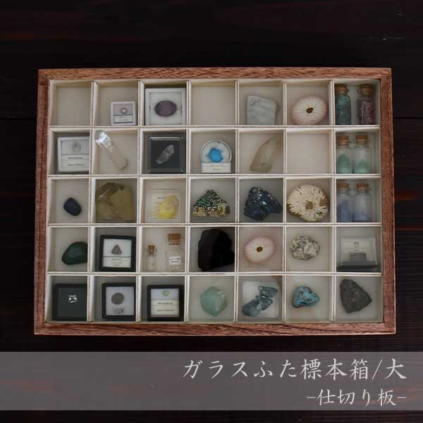 ガラスふた標本箱/大 -仕切り板-