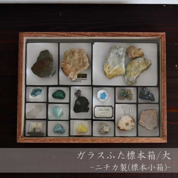 ガラスふた標本箱/大 -ニチカ製 標本小箱-