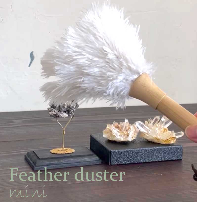 Feather duster mini