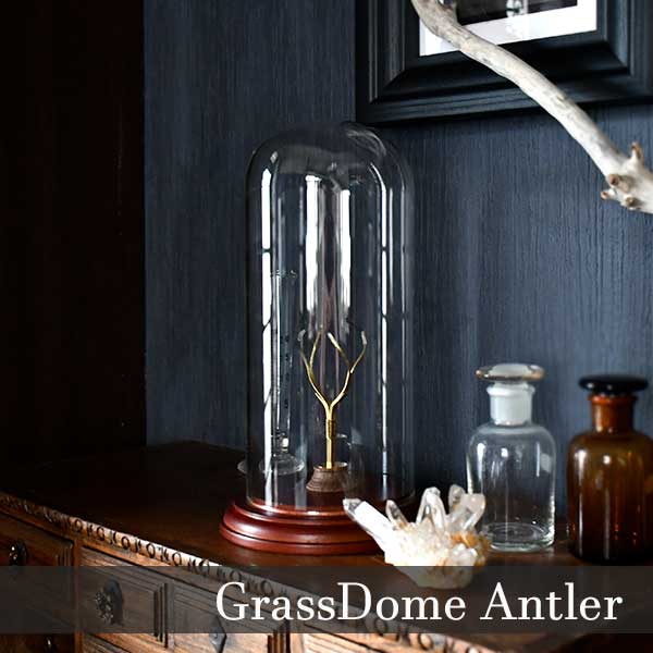 ガラスドーム鉱物標本ケース