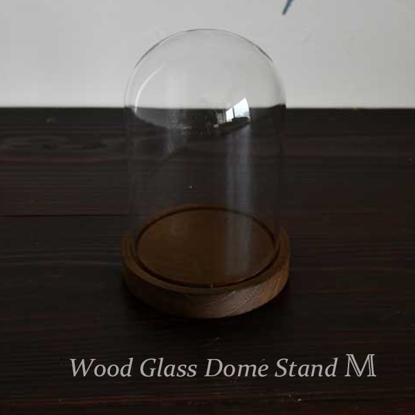 ウッドガラスドームスタンドM