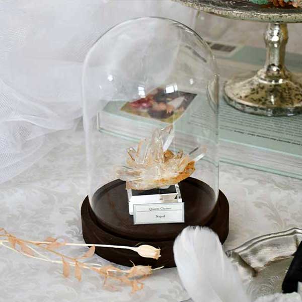 ガラスふた標本箱/大 -ニチカ製 標本小箱-