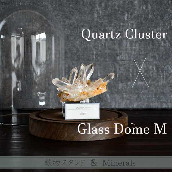 Quartz Cluster(クォーツクラスター)A ＆ グラスドームスタンドM