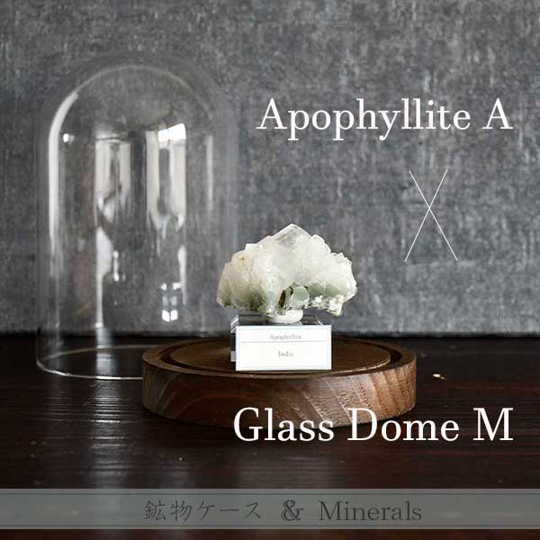 Apophyllite(アポフィライト)A ＆ガラスドームスタンドM