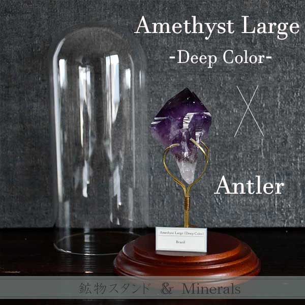Amethyst Large -Deep Color-(アメジスト濃) & ガラスドーム・アントラー
