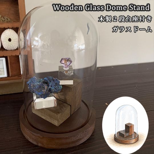 2段台座付き・ウッドガラスドームスタンドM