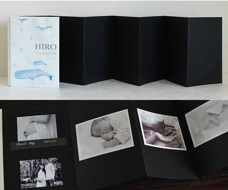 アコーディオンアルバム(くじら)