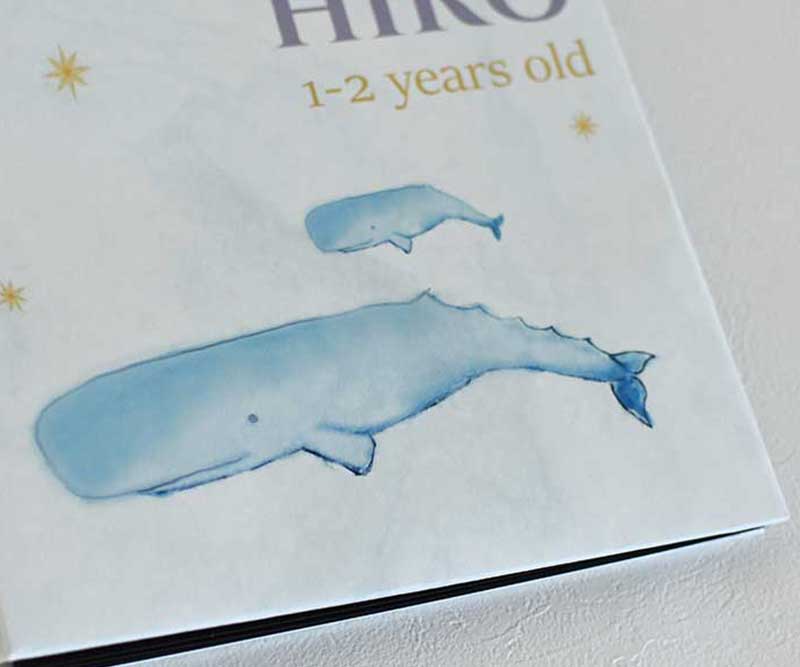 アコーディオンアルバム(くじら)