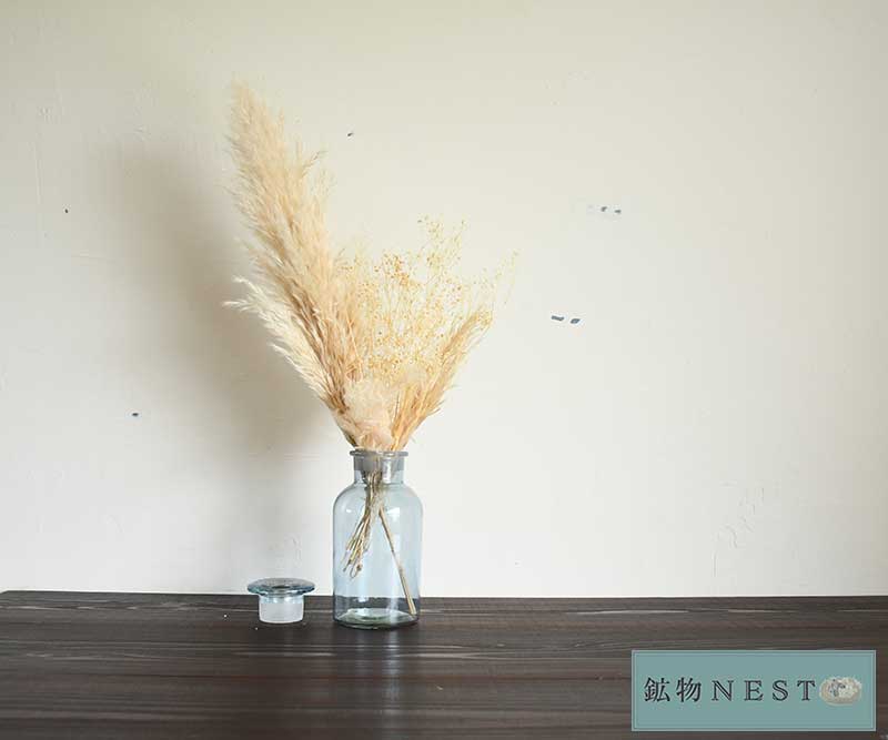 サイエンスボトル(ブルー)