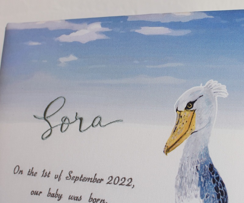 Porter bonheur ポルテ・ボヌール　ハシビロコウの赤ちゃんアルバム