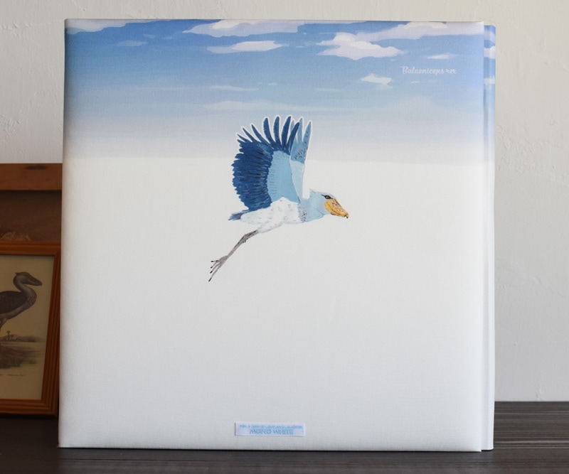 Porter bonheur ポルテ・ボヌール　ハシビロコウの赤ちゃんアルバム