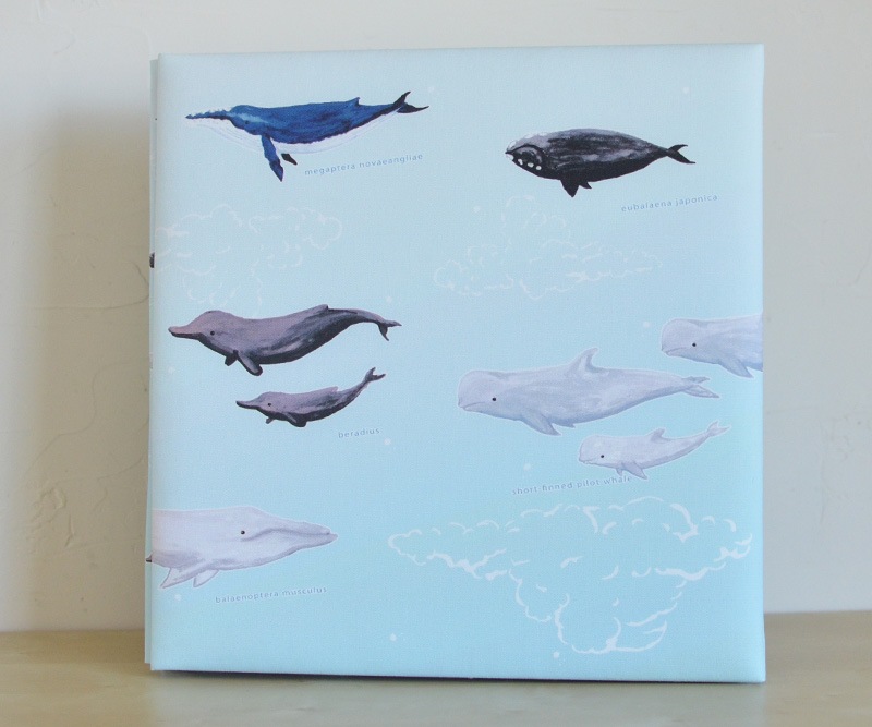 baleine (バレーヌ)　ベビーアルバム