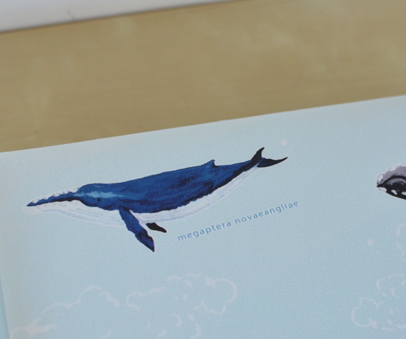 baleine (バレーヌ)　ベビーアルバム