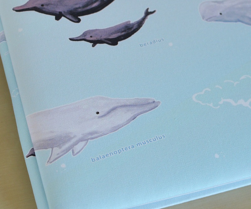 baleine (バレーヌ)　ベビーアルバム